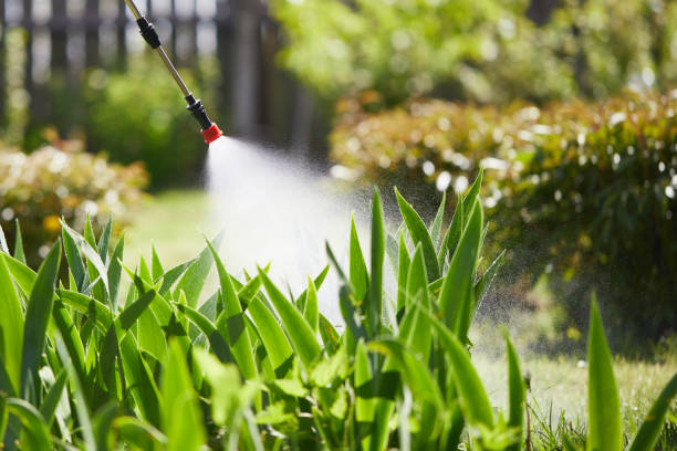 24/7 Emergency Termite Control experts in Kapaa, HI