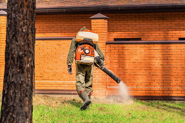 Top rated local Termite Control specialists in Kapaa, HI